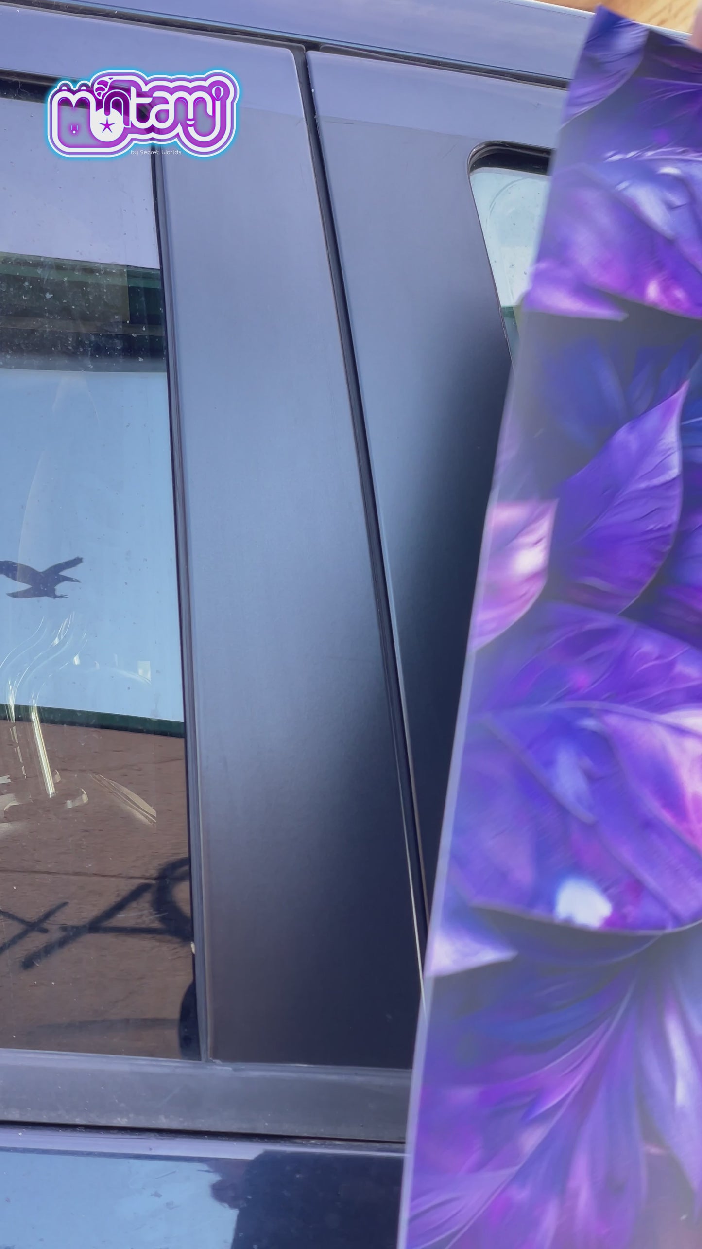 MONTAMI: Purple Leaves