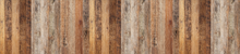 PELLICOLA DOGHE BEIGE - Secretworlds