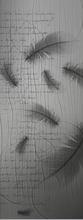 PORTA FLY 01 - Secretworlds