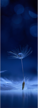 ADESIVO BOX DOCCIA MACRO