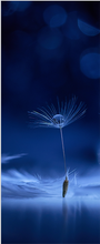 ADESIVO BOX DOCCIA MACRO