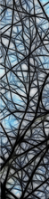 ADESIVO BOX DOCCIA NEURON
