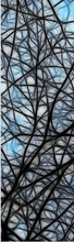 ADESIVO BOX DOCCIA NEURON