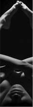 ADESIVO BOX DOCCIA NUDITY