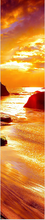 ADESIVO BOX DOCCIA TRAMONTO
