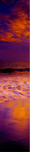 ADESIVO BOX DOCCIA TRAMONTO 2
