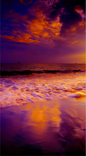 ADESIVO BOX DOCCIA TRAMONTO 2