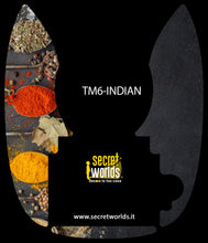 Adesivo Bimby TM6-INDIAN