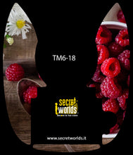 Adesivo Bimby TM6-18